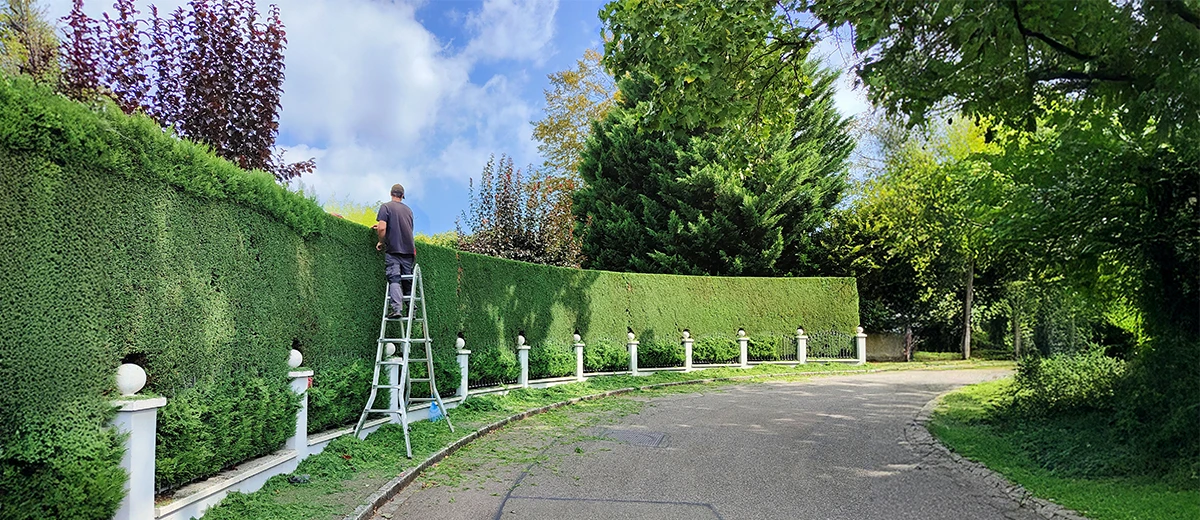 Galliker Garten – Wir sind mehr als Landschaft Gestalter