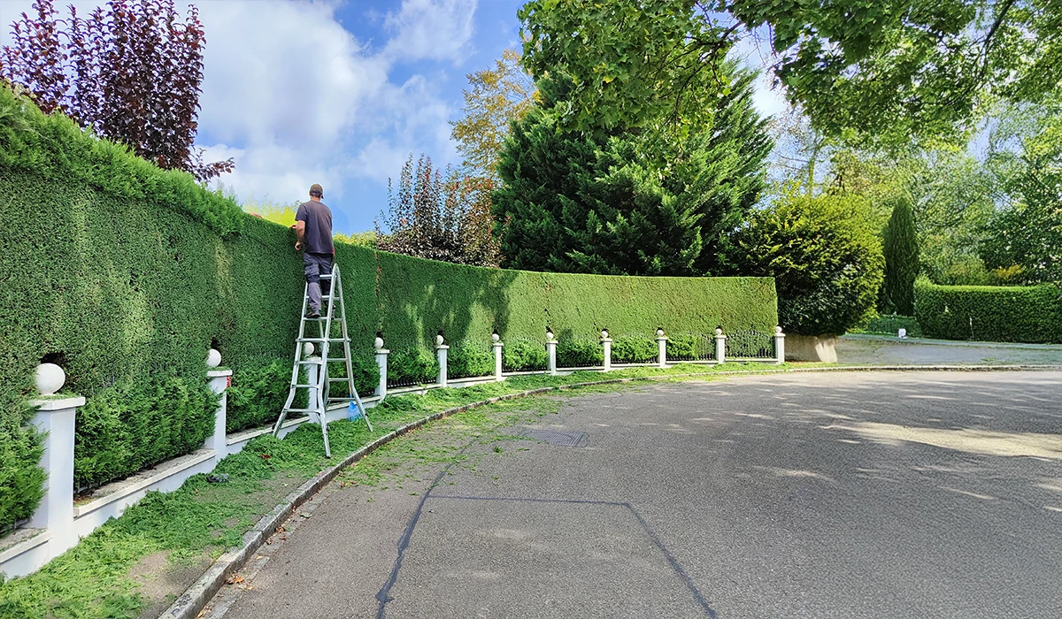 Galliker Garten – Wir sind mehr als Landschaft Gestalter